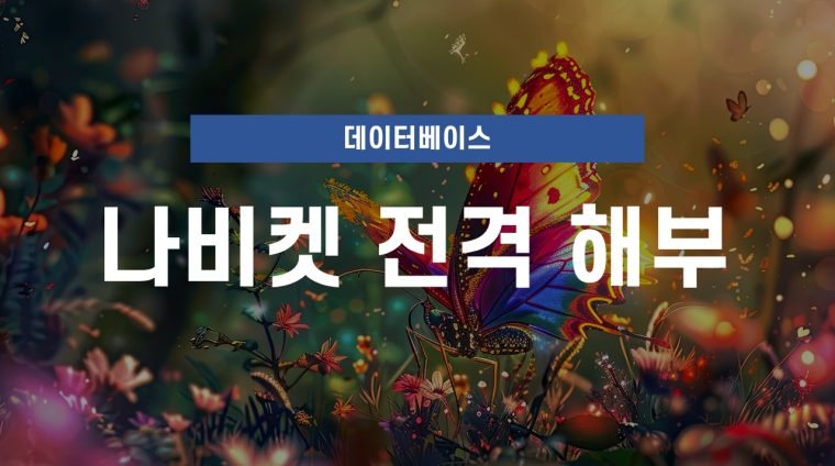 제5강나비켓전격해부